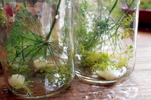 How to make delicious homemade canned dill pickles. Small Town Girl Blog.