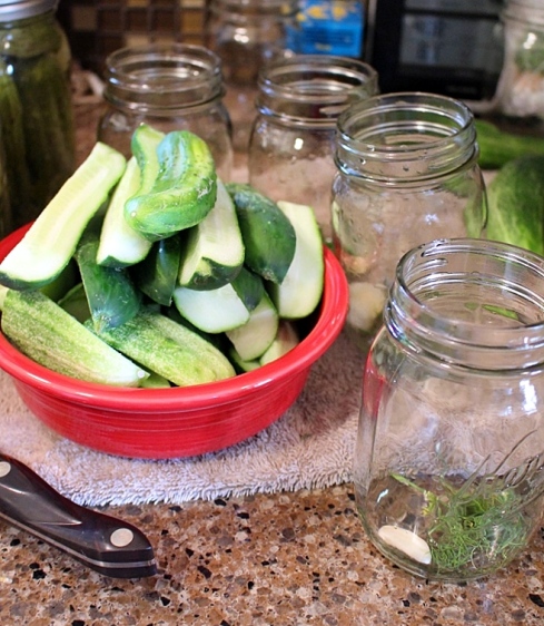 How to make delicious homemade canned dill pickles. Small Town Girl Blog.
