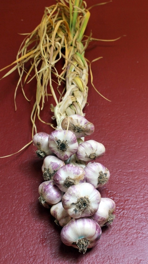 How to braid garlic with video tutorial!